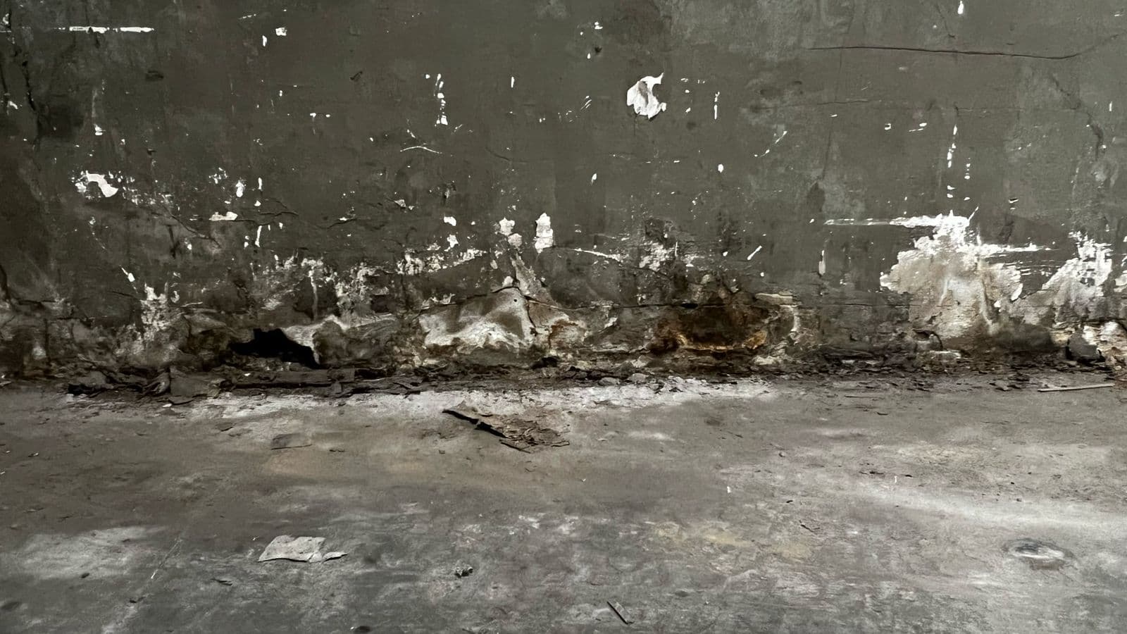 Reparación Bodega 7 Compas, fotografía 3